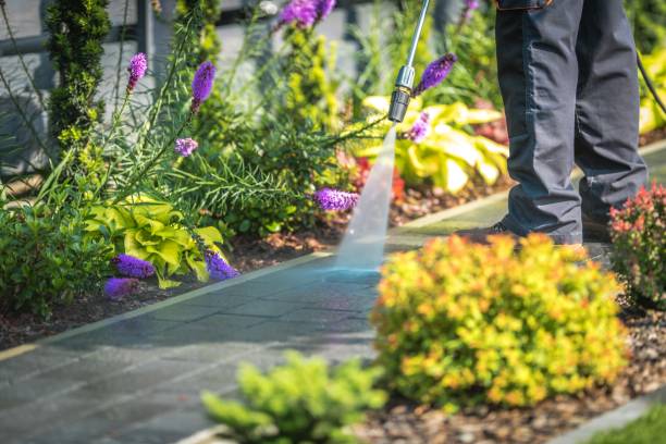 Best Oil and Grease Removal from Surfaces in Spring Green, WI